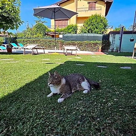 Sandra 3*